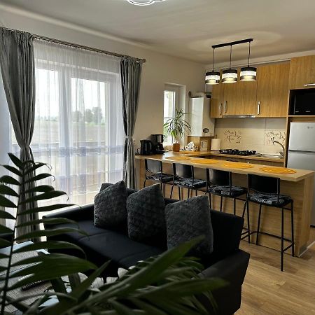 Apartament Elena Сибиу Экстерьер фото