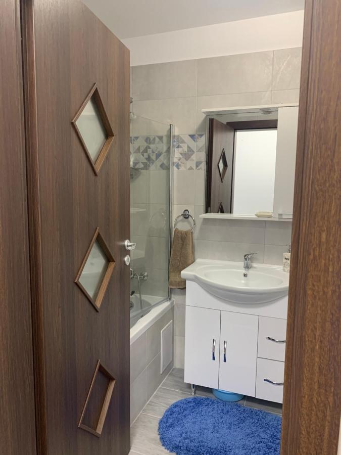 Apartament Elena Сибиу Экстерьер фото
