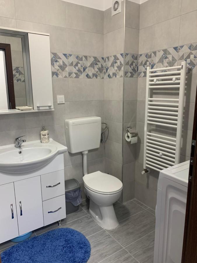 Apartament Elena Сибиу Экстерьер фото