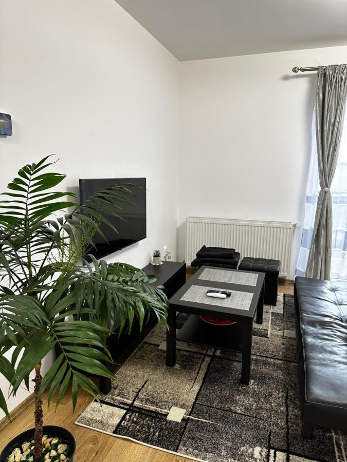 Apartament Elena Сибиу Экстерьер фото